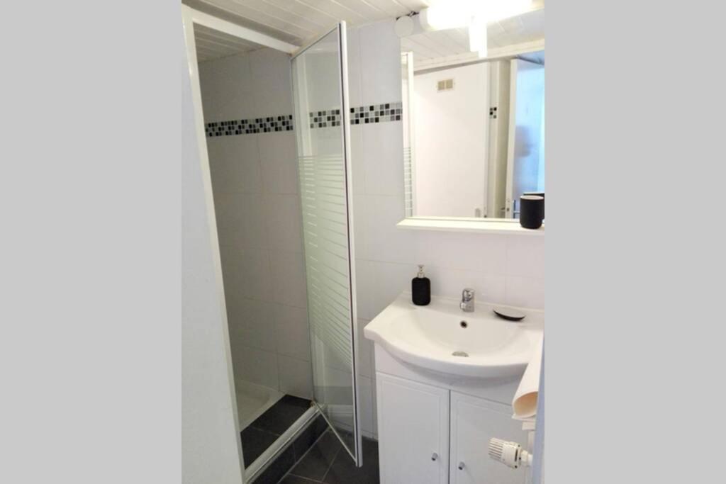 Appartement Cosy Rue Sainte Madeleine Страсбург Екстериор снимка